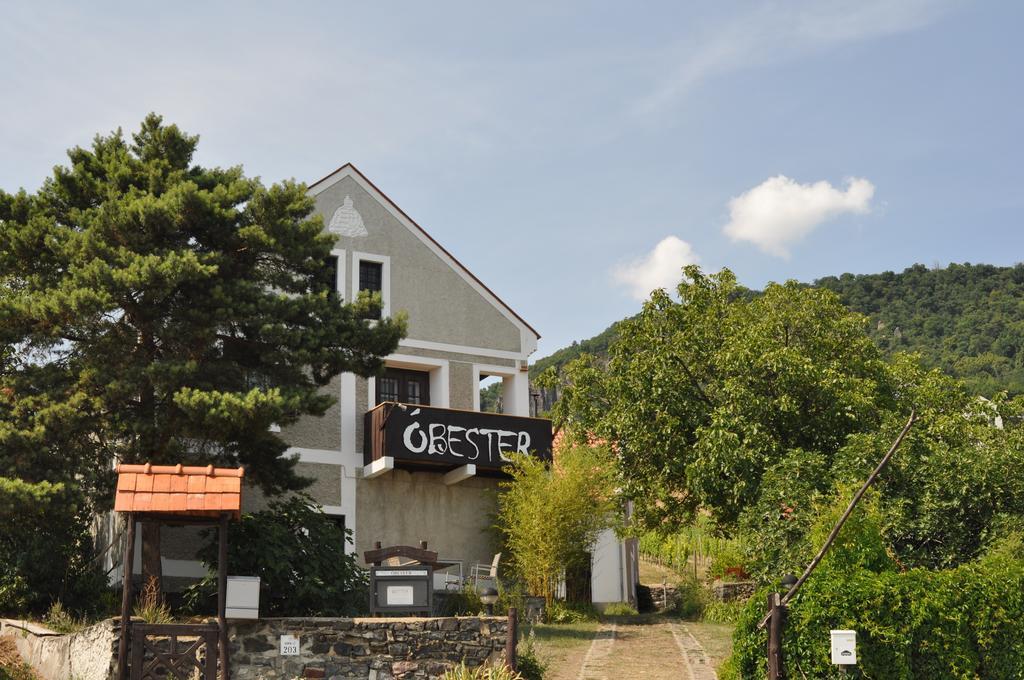 Óbester Panzió Badacsonytomaj Exterior foto